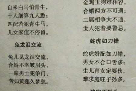 生辰八字在婚配中的重要性与影响分析