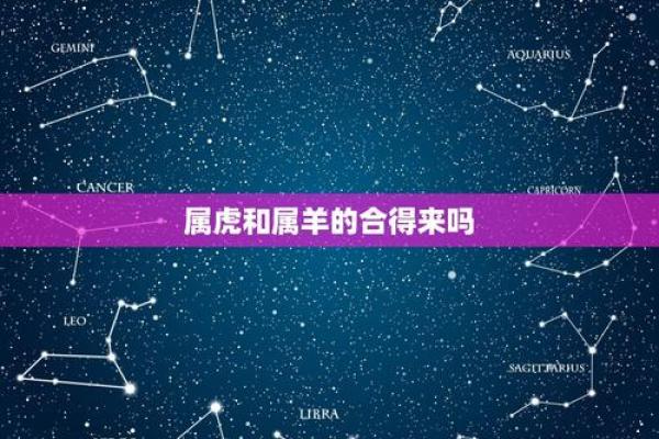 属虎男和属羊女的爱情配对分析