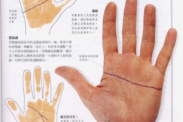 手指粗的手相解析与性格特点分析