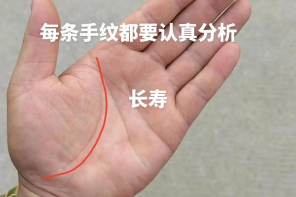 通过手相预测命运：掌纹透露的关键秘密