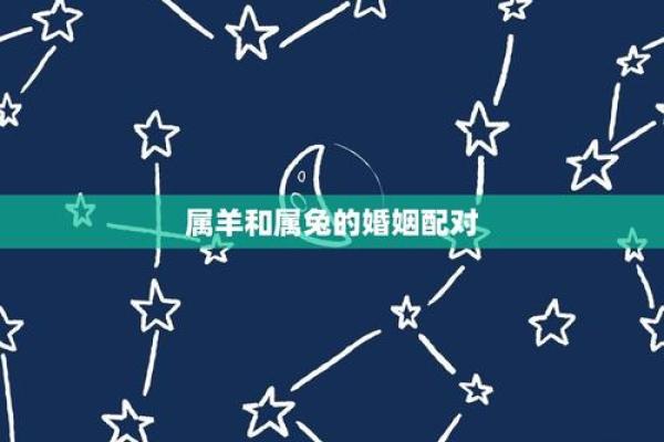 兔与羊的婚姻配对：和谐与挑战并存的爱情之道