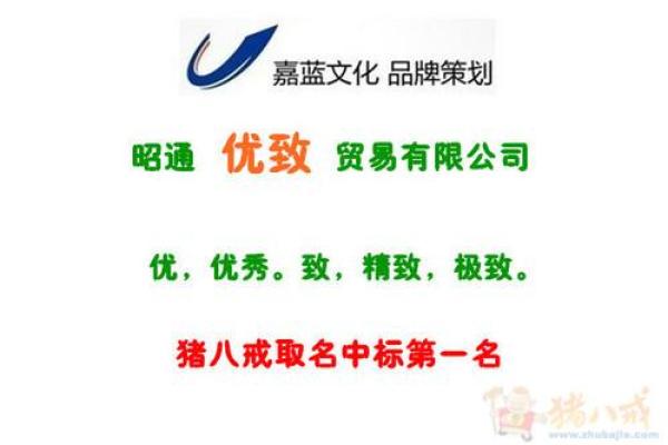 电脑公司起名创意与技巧，助你打造品牌独特性