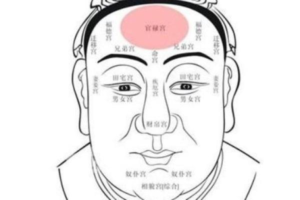 额骨面相解读：如何从额头形态看出个人性格