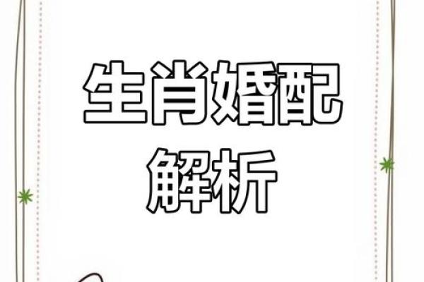 兔女与牛男婚姻如何？分析性格差异与相互影响