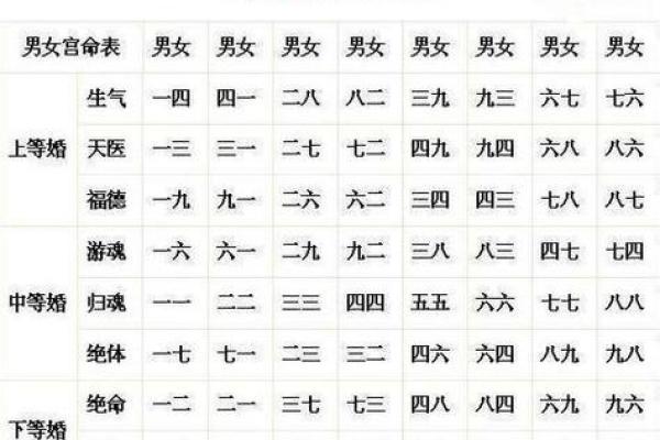 属龙男与属兔女的婚姻配对分析：优缺点全面解析