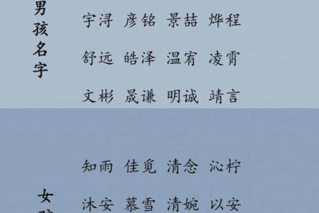 男宝宝名字免费大全 最受欢迎起名指南