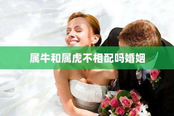 属虎与属牛的婚配分析：性格差异与相处之道