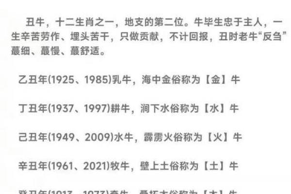 属牛最佳配对属相解析与缘分建议