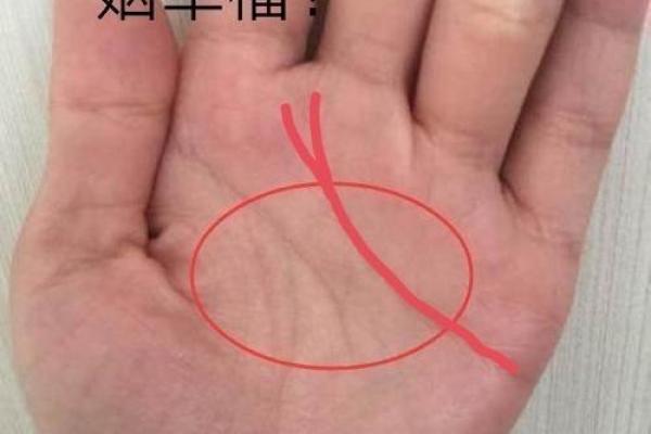 手相锁链纹路背后隐藏的命运启示