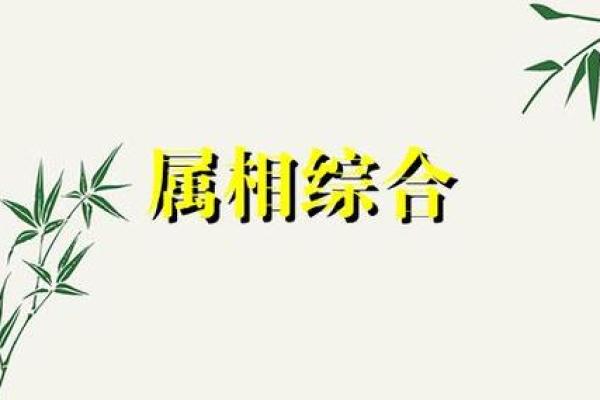 属蛇与属蛇婚姻相配度解读