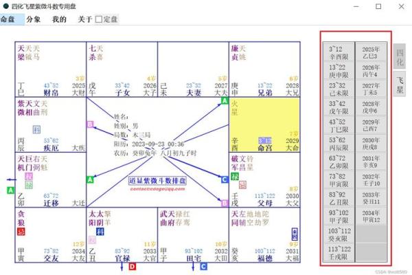 飞星斗数排盘解析与应用指南
