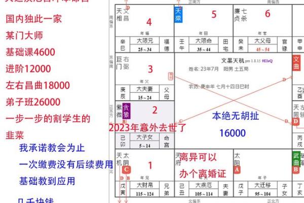 飞星斗数排盘解析与应用指南