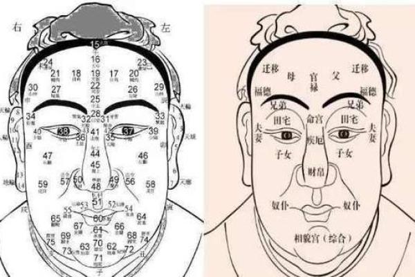 麻衣痣相解析：从面相学角度看个人运势与命运玄机