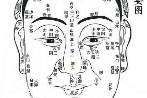 麻衣痣相解析：从面相学角度看个人运势与命运玄机