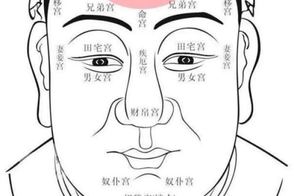 面相学中的断眉象征与性格解读