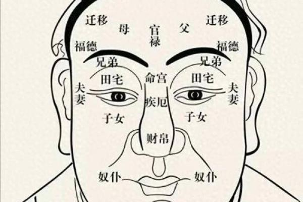 老板面相揭秘：面部特征与领导能力的关系