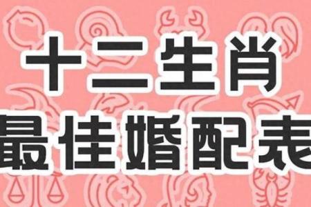 羊和猴的婚姻配对分析：相互影响与和谐共处的秘诀
