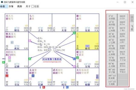 飞星斗数排盘解析与应用指南