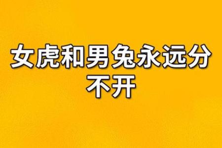 属兔女与属虎男的配对分析：性格互补还是冲突？