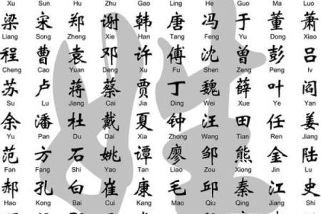 陈字在命理中的深层含义与影响