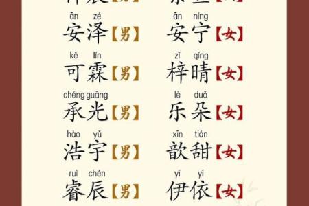 如何为出生的宝宝取个好名字
