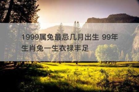属马与属兔的缘分深浅 如何影响感情