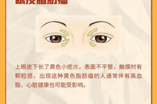 面相术：用面部特征破解你的财富与健康密码