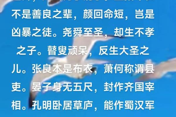 命与运的区别与联系：我们能掌控多少