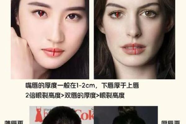 从嘴唇的厚薄判断个人财富运