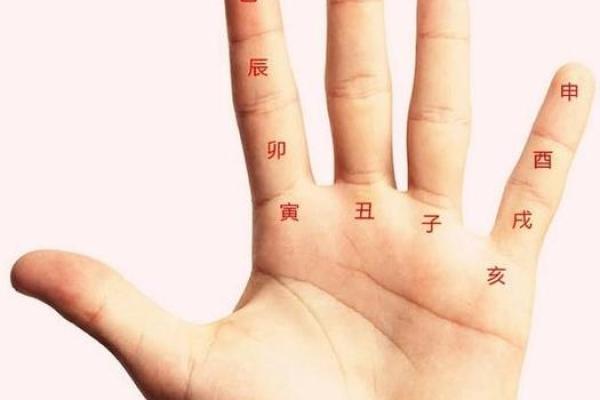 手把手教你查找天干并理解其含义
