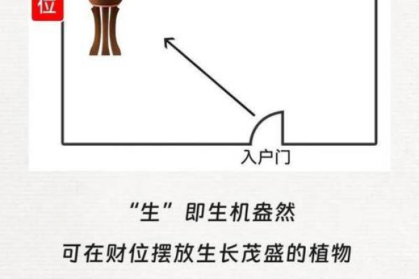如何利用风水财位提升家中运势与财富运道