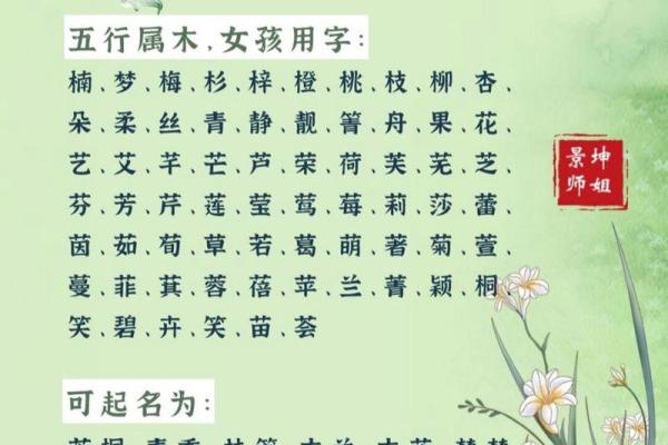 木命宝宝取名指南：为宝宝选择寓意深远的木属性名字
