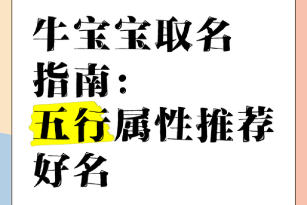 木命宝宝取名指南：为宝宝选择寓意深远的木属性名字