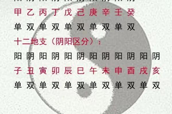 天干测算在命理学中的应用与解析