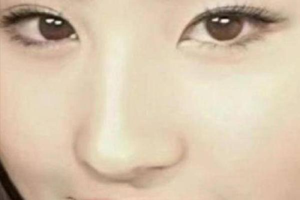 丹凤眼面相解析：揭示性格与运势的神秘联系