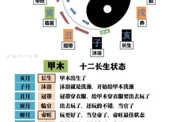 深入了解天干排列对命理学的影响