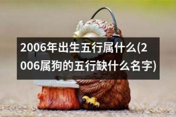 如何为属狗宝宝取名字，给他一个与众不同的开始