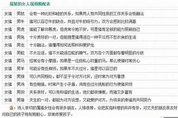 属猪男与属兔女的感情默契与挑战