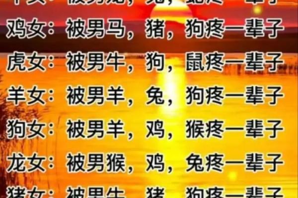 属猪男与属兔女的感情默契与挑战