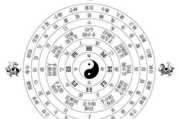 天干颜色背后的五行联系与影响