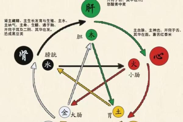 如何理解天干克制：命理学中的五行相克与调和之道