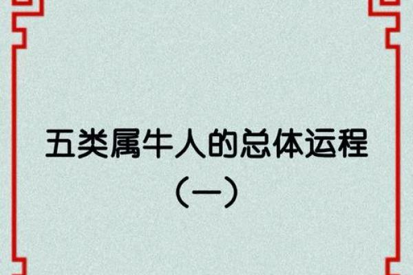水牛命的命运特点与性格特征