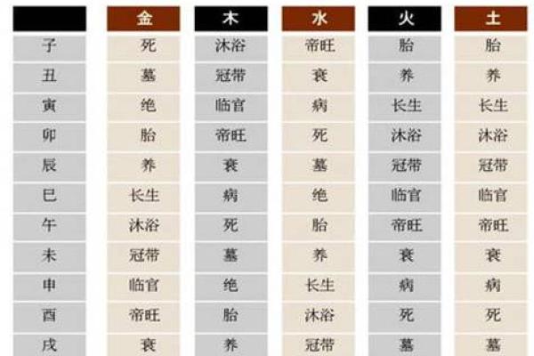 天干查询表入门指南：基础知识与应用技巧