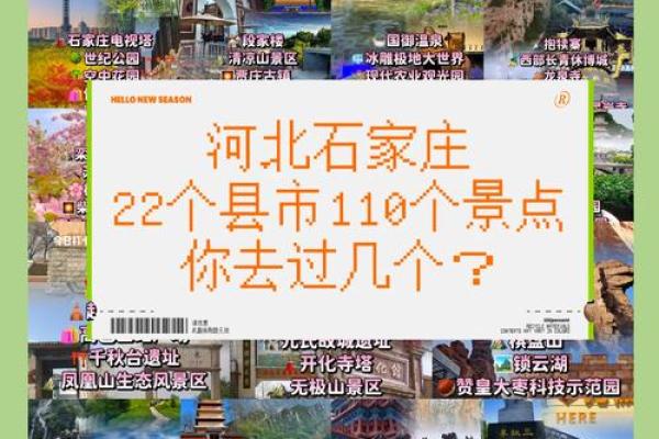 如何选择合适的石家庄起名公司为您命名