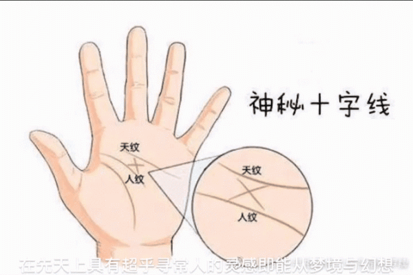 手相拍照算命，科技与古老术数的完美结合