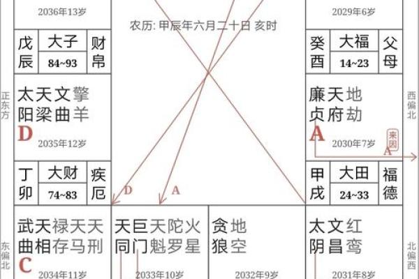 紫微斗数排盘解析：揭开命运的神秘面纱