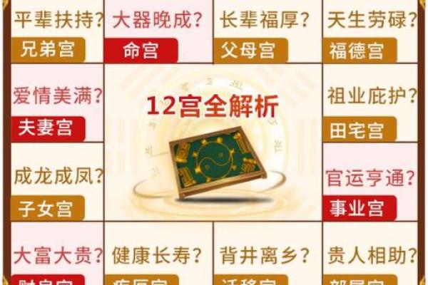 紫微斗数排盘解析：揭开命运的神秘面纱