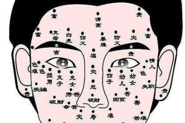 旺夫面相图解析：从面相看你是否能带来好运和幸福