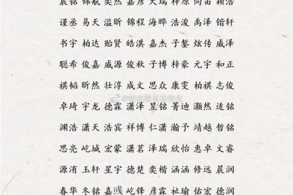 如何选一个符合潮流趋势的洋气公司名