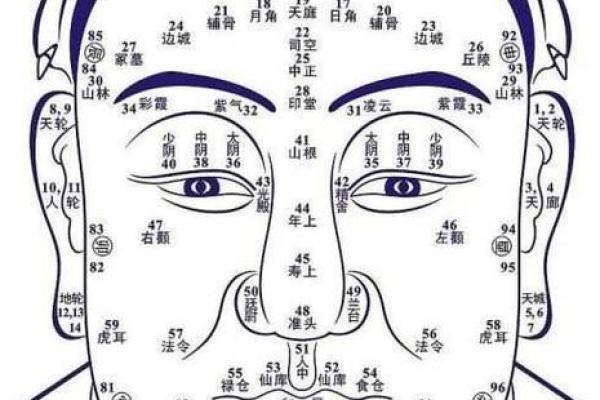 面相与骨相的结合：探索如何通过外貌解读内心世界
